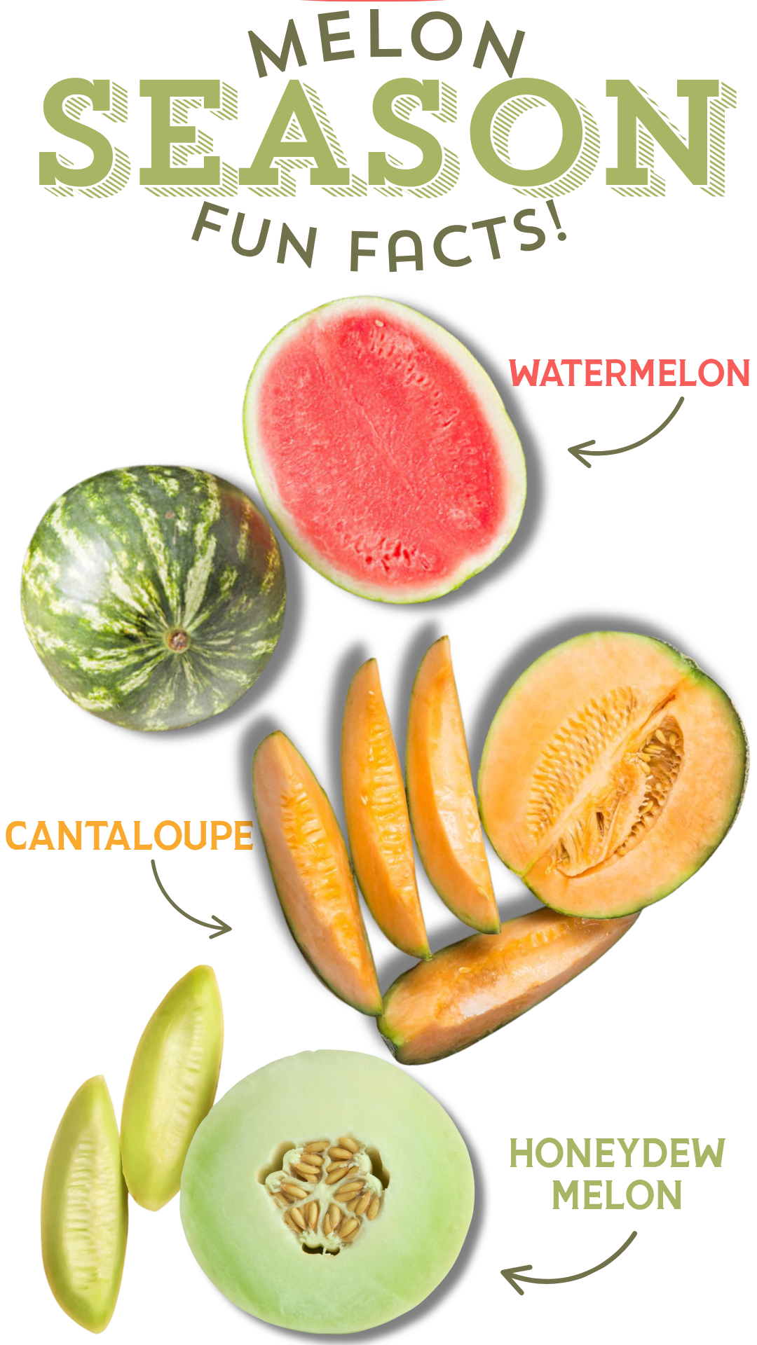 Melon Season 